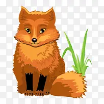 狼-空若网 狼-空若网