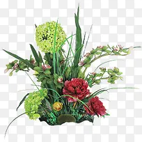 手绘插画植物草丛-空若网 手绘插画植物草丛-空若网