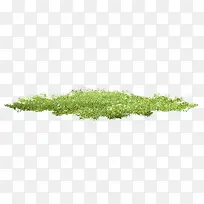 绿色草丛-空若网 绿色草丛-空若网