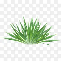 ��ɫ�ݴ�-������