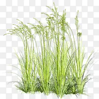 �ݴ�-������