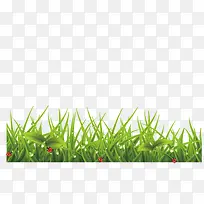 ʸ����ƺ�ز�-������