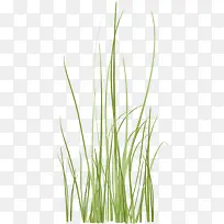 С��-������