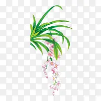 草丛叶子-空若网 草丛叶子-空若网