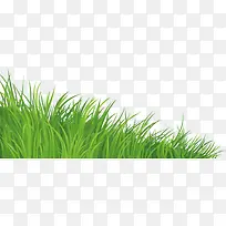 高清摄影绿色草丛设计摄影-空若网 高清摄影绿色草丛设计摄影-空若网