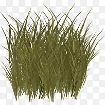 ��ͨС��-������