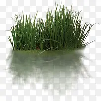 草-空若网 草-空若网