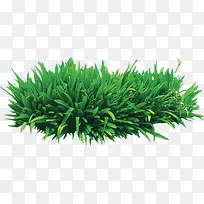 �ݴ�-������