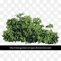 ²Ý´Ô-¿ÕÈôÍø ²Ý´Ô-¿ÕÈôÍø