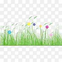 高清摄影五颜六色花朵手绘草丛-空若网 高清摄影五颜六色花朵手绘草丛-空若网