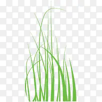 高清摄影绿色草丛-空若网 高清摄影绿色草丛-空若网