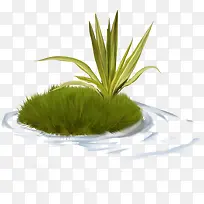 ˮ�вݴ�-������