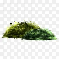 草丛-空若网 草丛-空若网