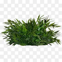 �ݴ�-������