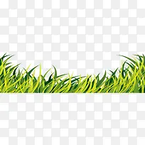 黄绿卡通草丛小草-空若网 黄绿卡通草丛小草-空若网