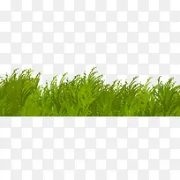 绿草-空若网 绿草-空若网