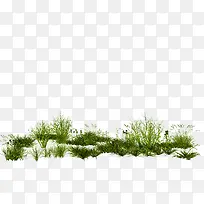 ������ɫ�ݴ�-������