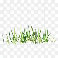 ²ÝµØ²ÝƺÂ̲Ý-¿ÕÈôÍø ²ÝµØ²ÝƺÂ̲Ý-¿ÕÈôÍø