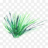 绿草-空若网 绿草-空若网