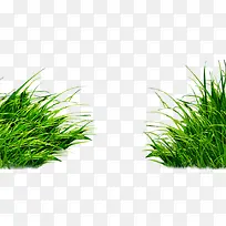 �ݴ��̲�-������