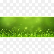 清新草丛光点背景banner-空若网 清新草丛光点背景banner-空若网