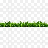 绿色草丛小草装饰-空若网 绿色草丛小草装饰-空若网