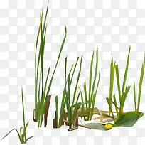 �̲ݴ���ݴ�-������