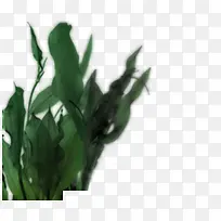 绿草草丛-空若网 绿草草丛-空若网