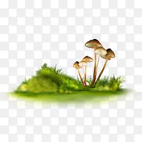 绿草-空若网 绿草-空若网