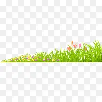 绿草草坪草丛春天装饰-空若网 绿草草坪草丛春天装饰-空若网