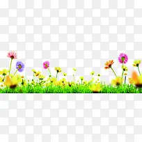 春季彩色花朵草丛-空若网 春季彩色花朵草丛-空若网