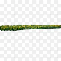 创意高清草丛合成摄影-空若网 创意高清草丛合成摄影-空若网