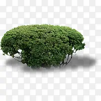 户外摄影绿色草丛-空若网 户外摄影绿色草丛-空若网