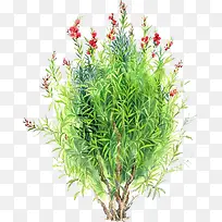 ���崴����ɫ�ݴ�-������