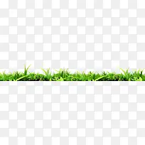 高清草丛摄影创意合成-空若网 高清草丛摄影创意合成-空若网