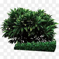 高清摄影创意绿色草丛-空若网 高清摄影创意绿色草丛-空若网