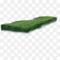 ������Ӱ��ɫ�ݴԲݵ�-������