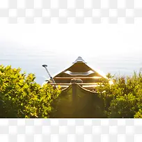 高清摄影户外草丛-空若网 高清摄影户外草丛-空若网