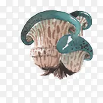 ��ͨ�ֻ�Ģ��-������