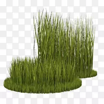 �̱���ֲ������-������