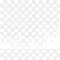 白色花丛-空若网 白色花丛-空若网