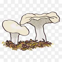 �ֻ�Ģ��-������