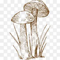 手绘食物-空若网 手绘食物-空若网