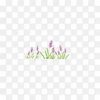 薰衣草-空若网 薰衣草-空若网