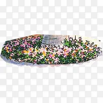 手绘彩色花丛植物-空若网 手绘彩色花丛植物-空若网