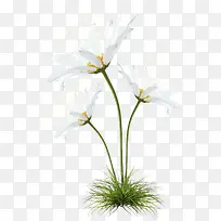 ����-������