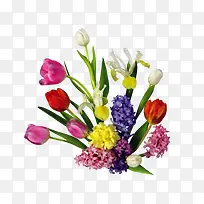 ��ɫ�����㻨��-������