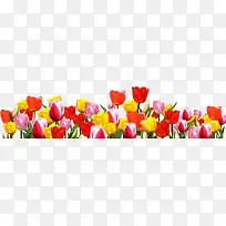 ��ɫ�����㻨������-������