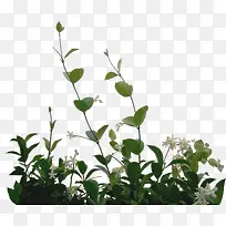 С�ݻ���װ��-������