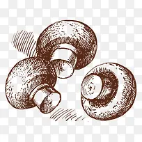 蘑菇-空若网 蘑菇-空若网